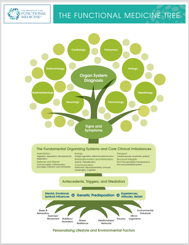 This image has an empty alt attribute; its file name is Functional-Medicine-Tree.png